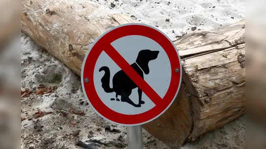 Bußgeldverfahren bei Verunreinigungen durch Hundekot.  (Symbolbild: pixabay)