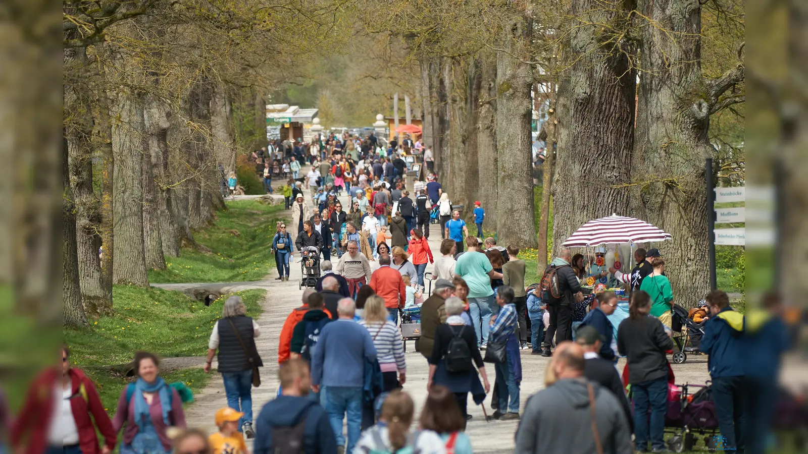 Rund 20000 Besucher fanden am langen Maiwochenende bei herrlichem Wetter den Weg in den Tierpark Sababurg zum Frühlingsmarkt (Foto: Stefan Bönning)
