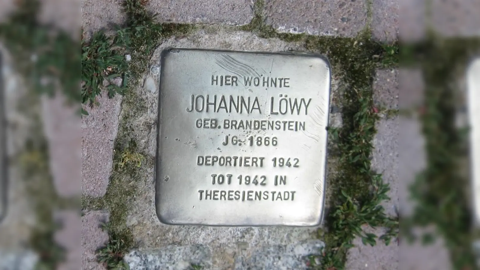 Die sogenannten Solpersteine erinnern an die Opfer der NS-Zeit. In Hofgeismar erinnert seit 2010 ein solcher etwa an Johanna Löwy, die Mutter von Paula Goldschmidt. Nun sollen weitere Gedenksteine für die Familie verlegt werden. (Foto: J. Drinnenberg)